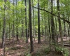 Greenwood County, ,Land,Active,1176