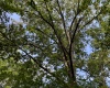 Greenwood County, ,Land,Active,1176