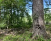 Greenwood County, ,Land,Active,1176