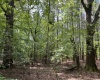 Greenwood County, ,Land,Active,1176