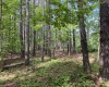 Greenwood County, ,Land,Active,1176