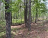 Greenwood County, ,Land,Active,1176