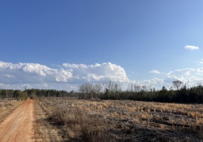 Greenwood County, ,Land,Active,1177