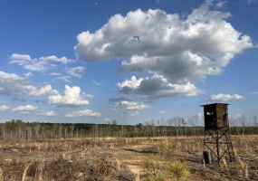 Greenwood County, ,Land,Active,1178