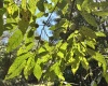 Greenwood County, ,Land,Active,1180