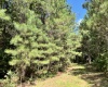 Greenwood County, ,Land,Active,1180