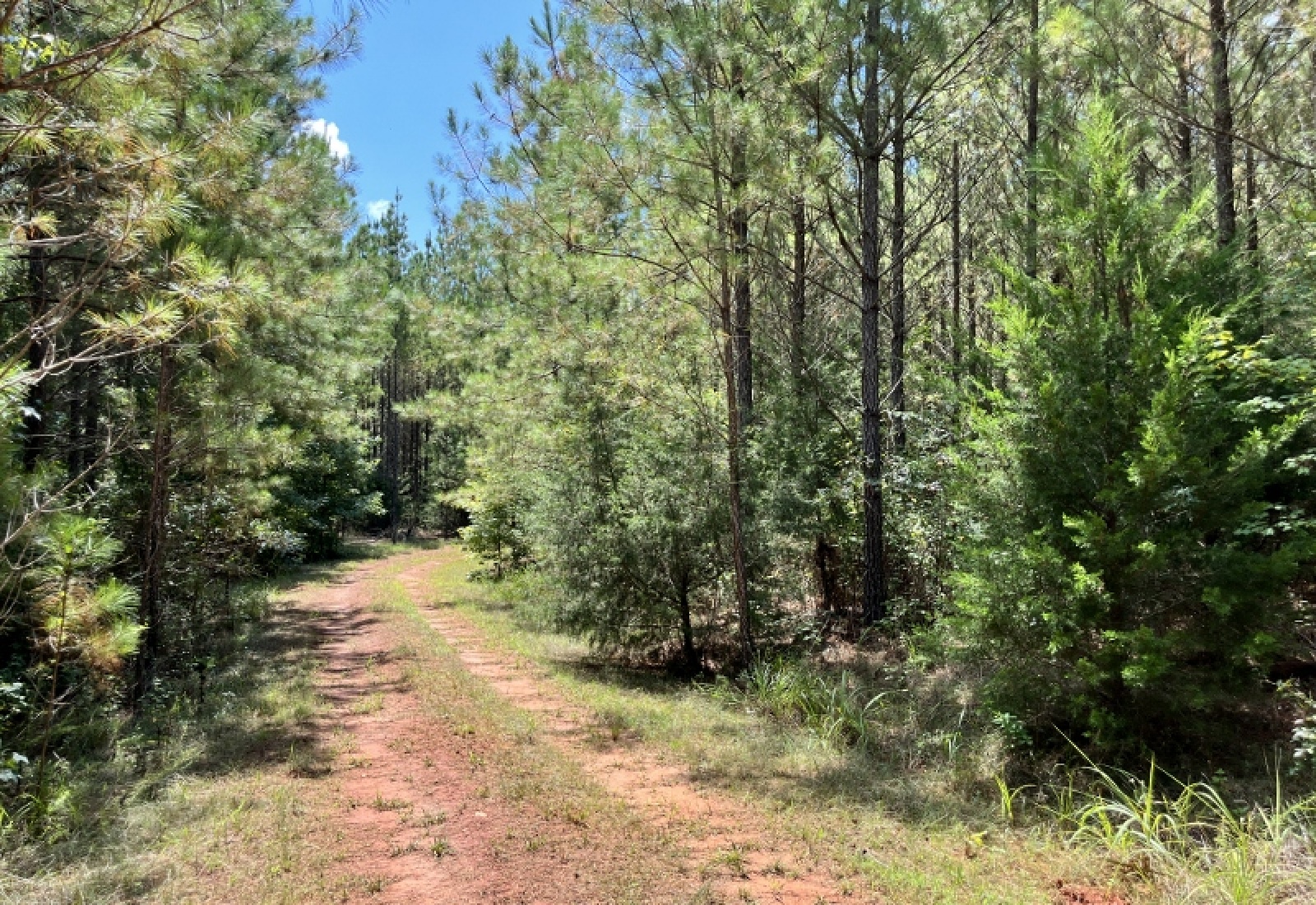 Greenwood County, ,Land,Active,1180