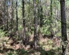 Greenwood County, ,Land,Active,1180
