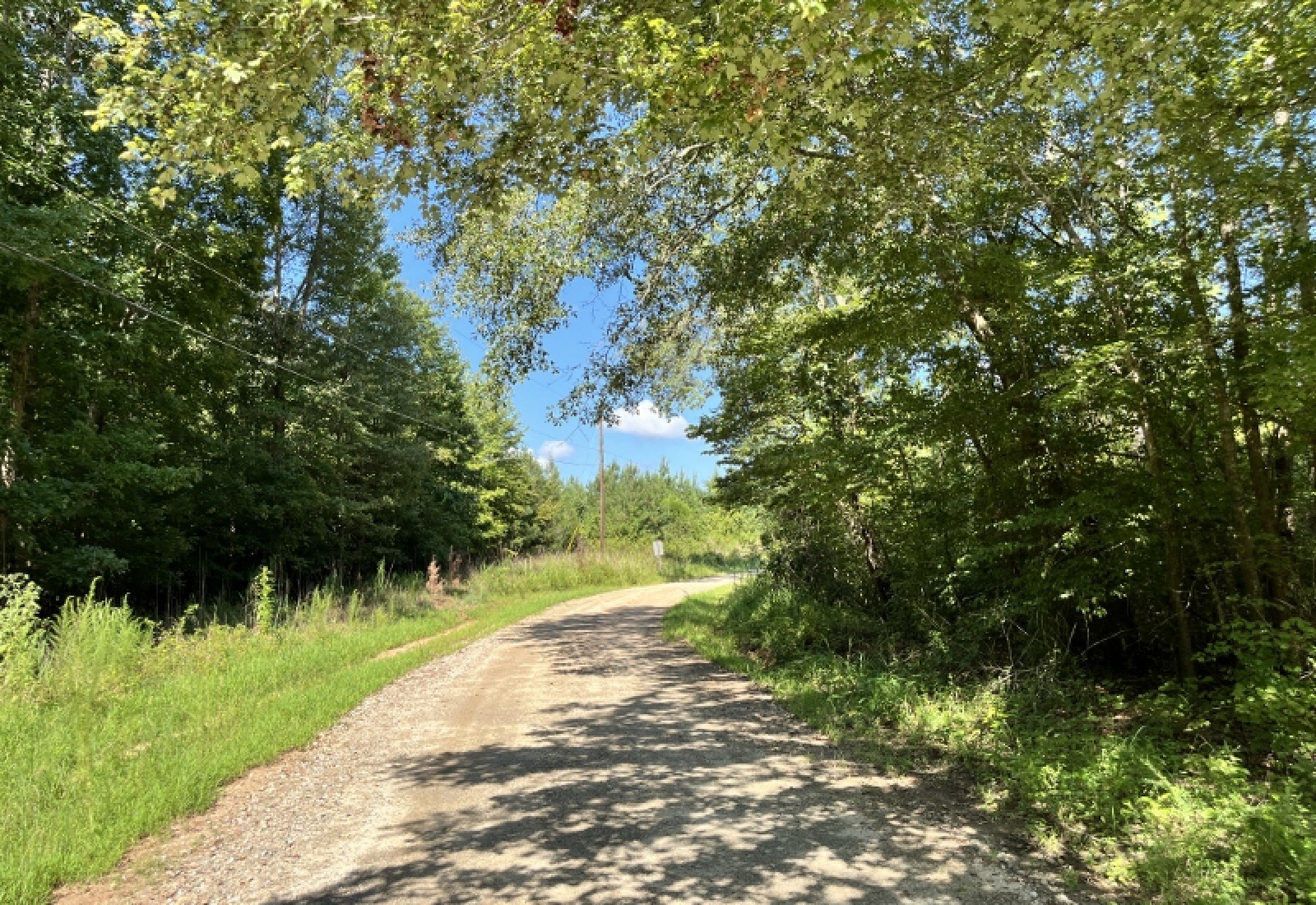 Greenwood County, ,Land,Active,1182