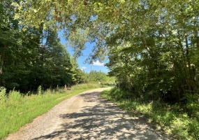 Greenwood County, ,Land,Active,1182