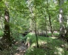 Greenwood County, ,Land,Active,1182
