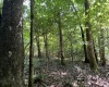 Greenwood County, ,Land,Active,1182