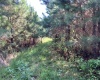 Greenwood County, ,Land,Active,1182