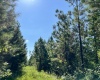 Greenwood County, ,Land,Active,1182