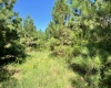 Greenwood County, ,Land,Active,1182