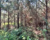 Greenwood County, ,Land,Active,1182