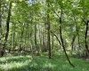 Greenwood County, ,Land,Active,1182
