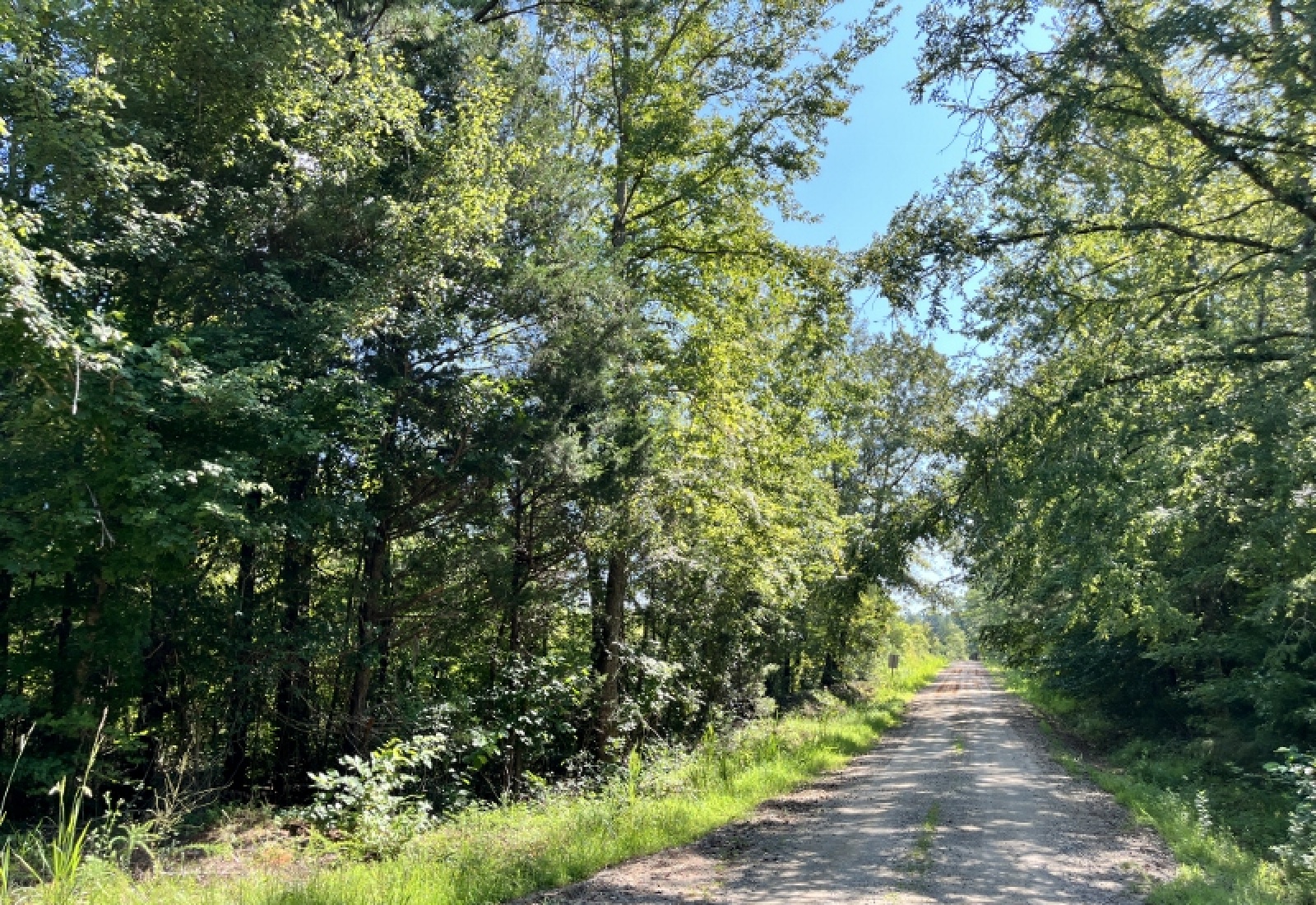 Greenwood County, ,Land,Active,1182