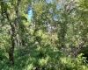 Greenwood County, ,Land,Active,1183