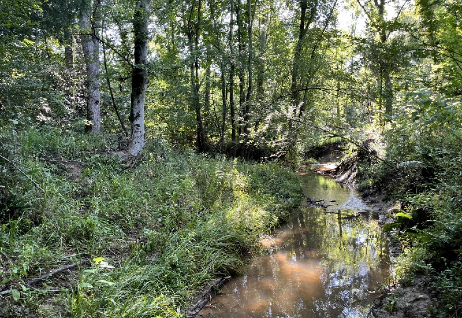 Greenwood County, ,Land,Active,1183