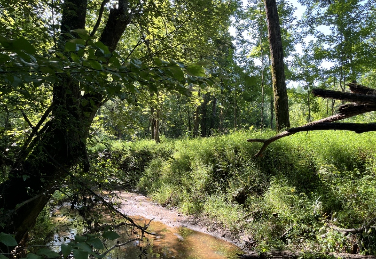 Greenwood County, ,Land,Active,1183