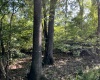 Greenwood County, ,Land,Active,1183