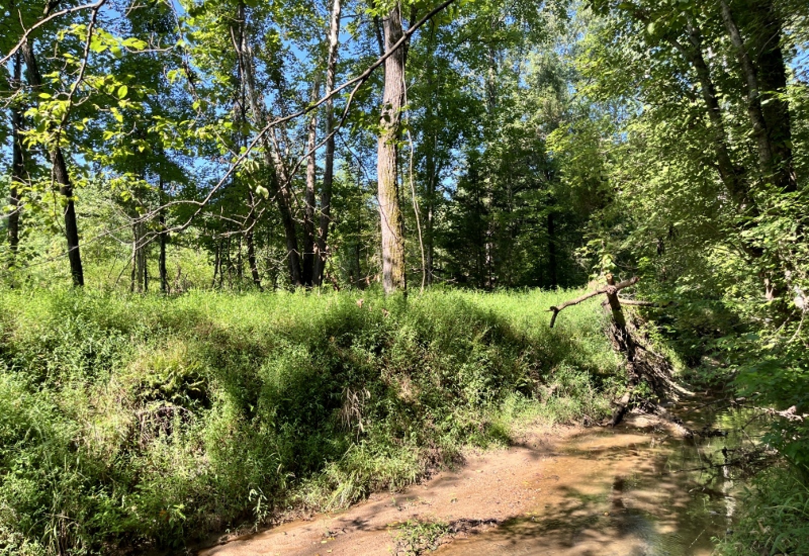 Greenwood County, ,Land,Active,1183