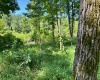 Greenwood County, ,Land,Active,1183