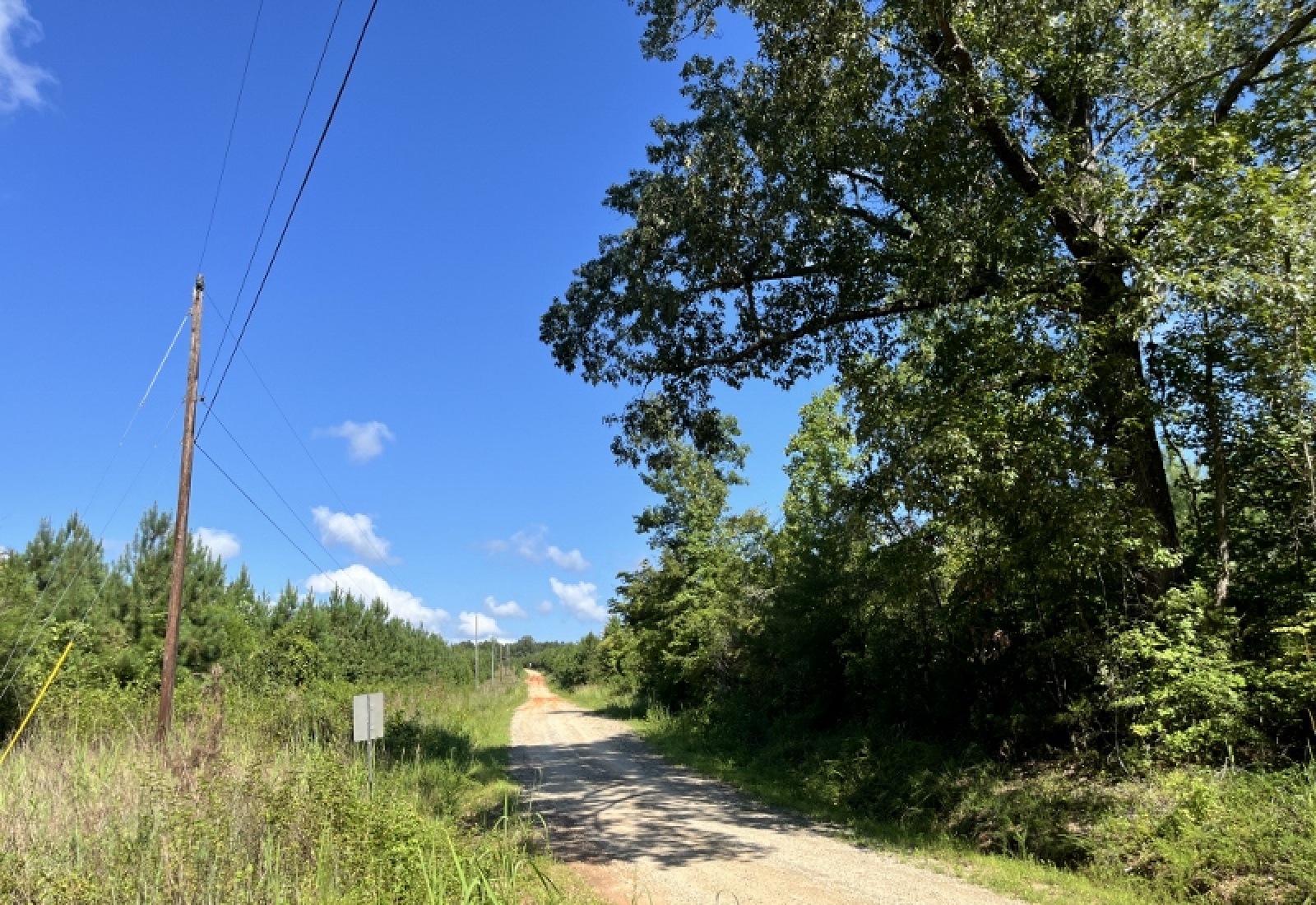 Greenwood County, ,Land,Active,1183