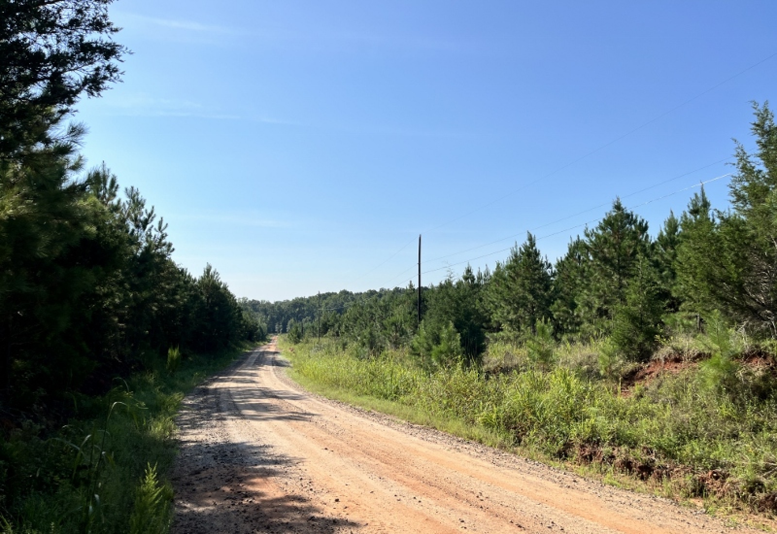 Greenwood County, ,Land,Active,1183