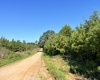 Greenwood County, ,Land,Active,1183