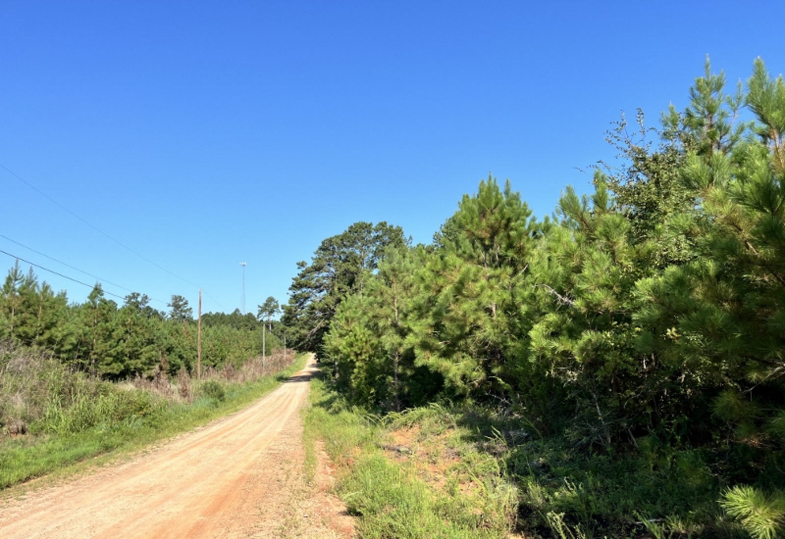 Greenwood County, ,Land,Active,1183