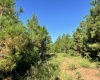 Greenwood County, ,Land,Active,1183