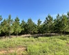 Greenwood County, ,Land,Active,1183