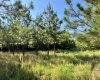 Greenwood County, ,Land,Active,1183