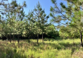 Greenwood County, ,Land,Active,1183