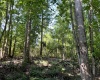 Greenwood County, ,Land,Active,1183