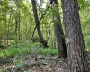 Greenwood County, ,Land,Active,1183