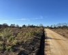 Saluda County, ,Land,Active,1184