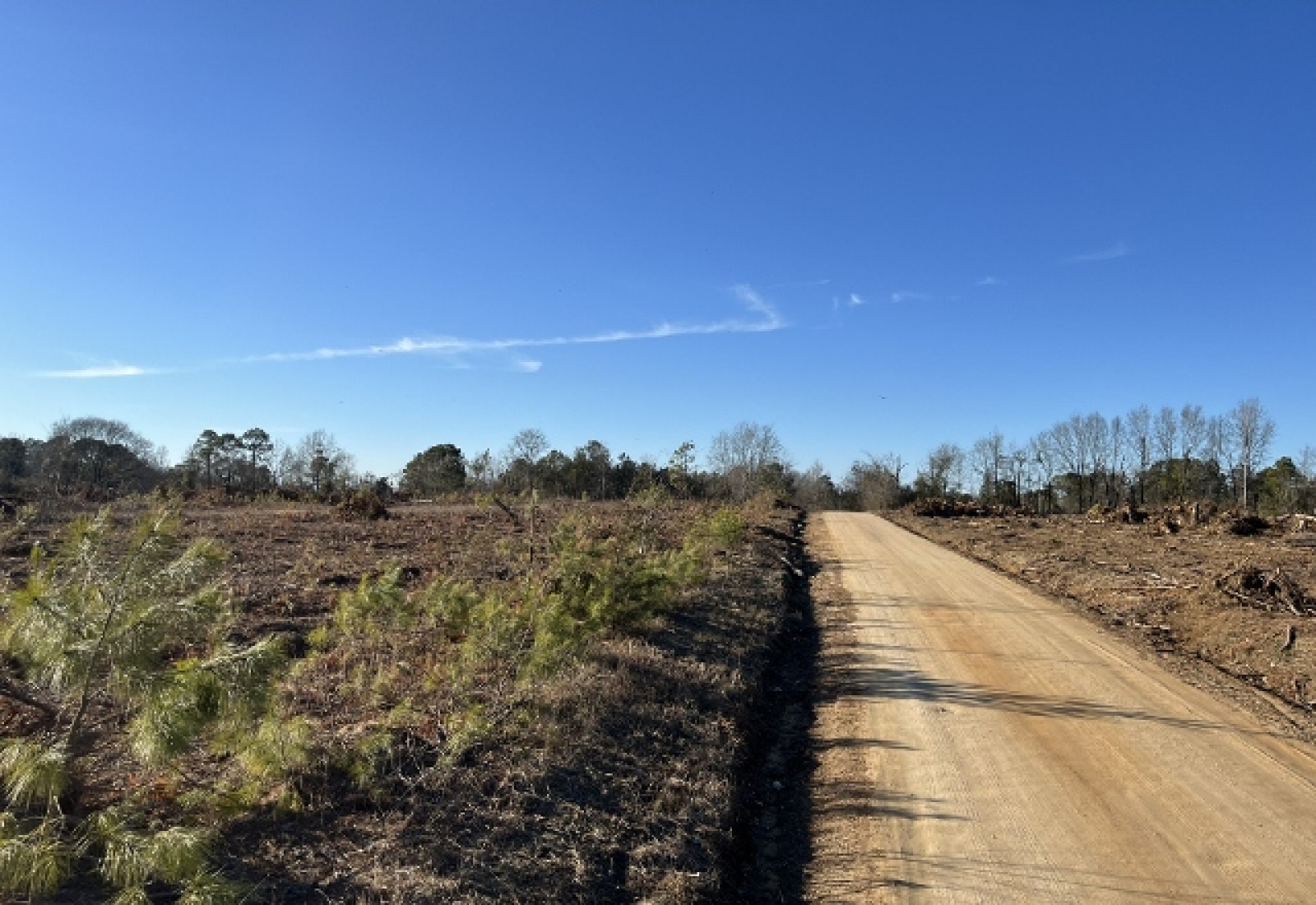 Saluda County, ,Land,Active,1184