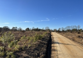 Saluda County, ,Land,Active,1184