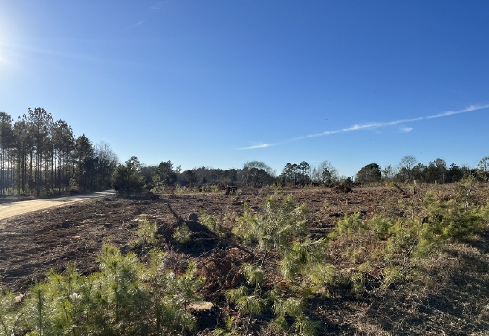 Saluda County, ,Land,Active,1184
