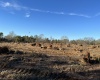 Saluda County, ,Land,Active,1184