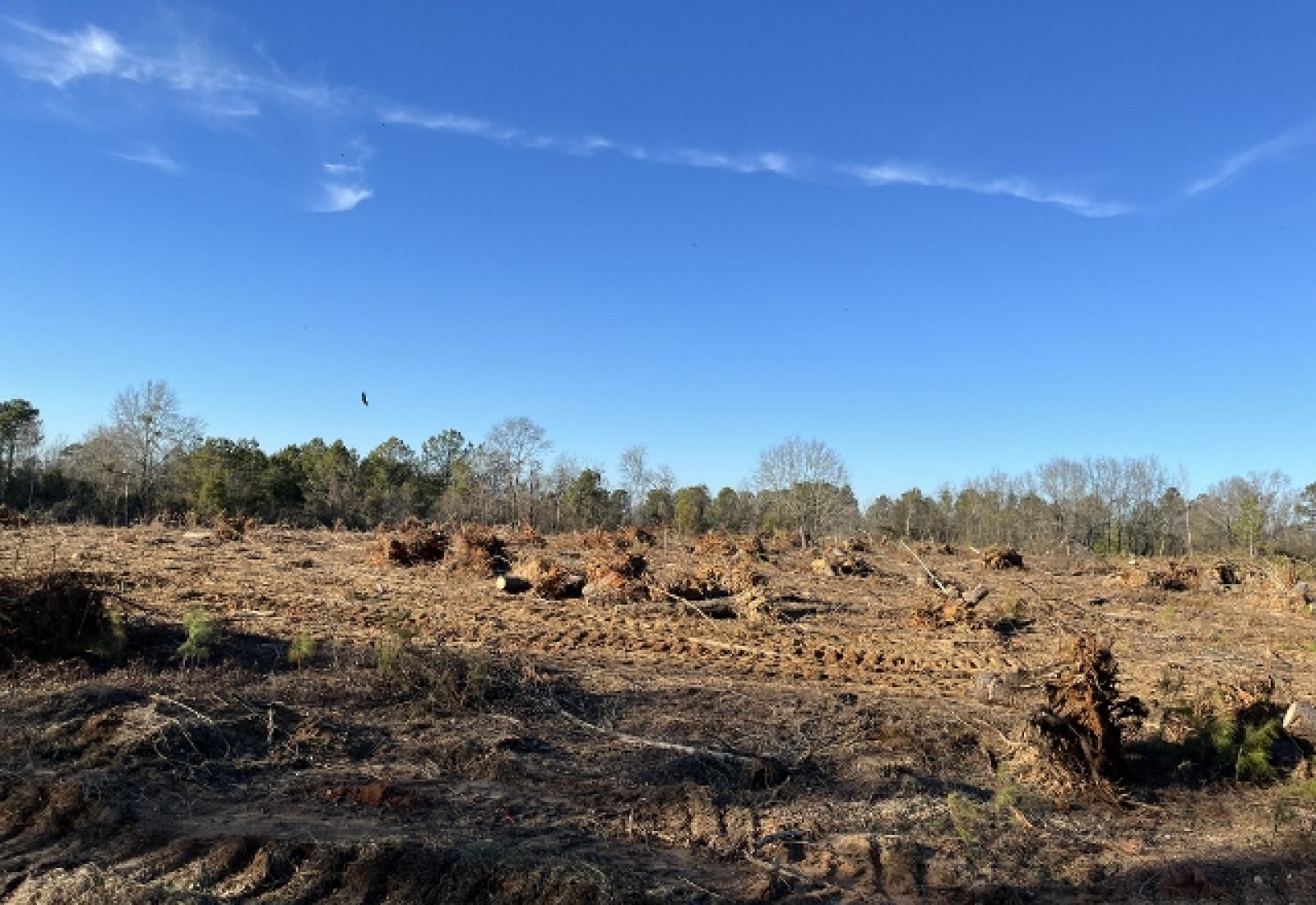 Saluda County, ,Land,Active,1184