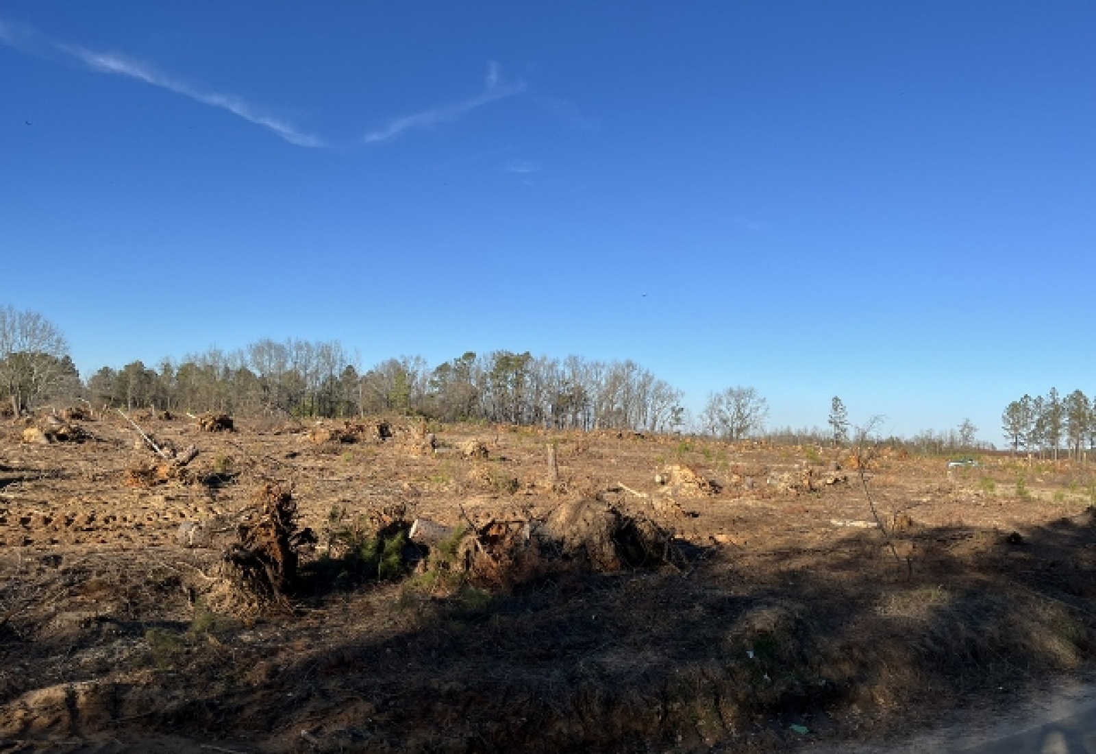 Saluda County, ,Land,Active,1184