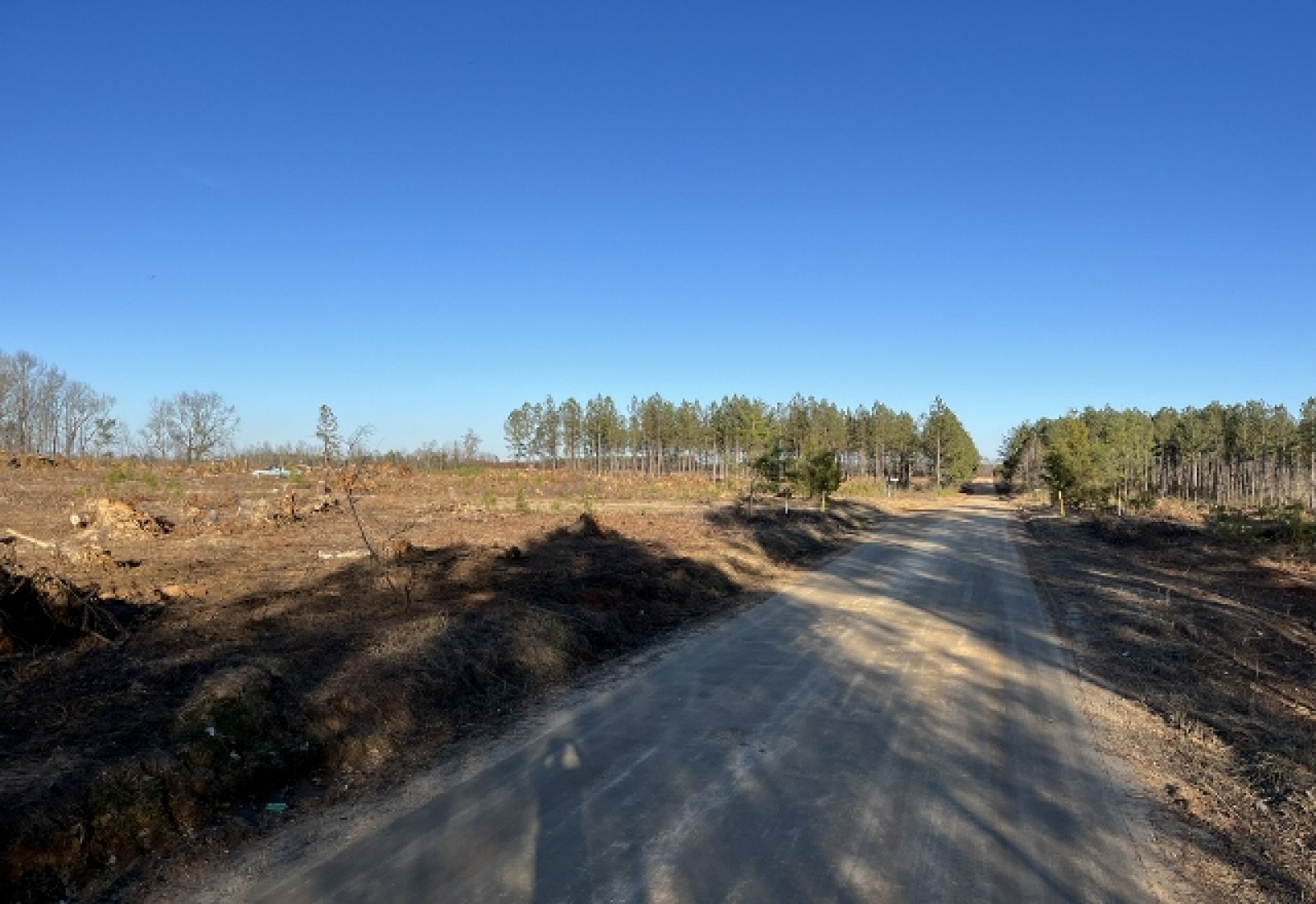 Saluda County, ,Land,Active,1184