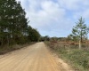 Saluda County, ,Land,Active,1184