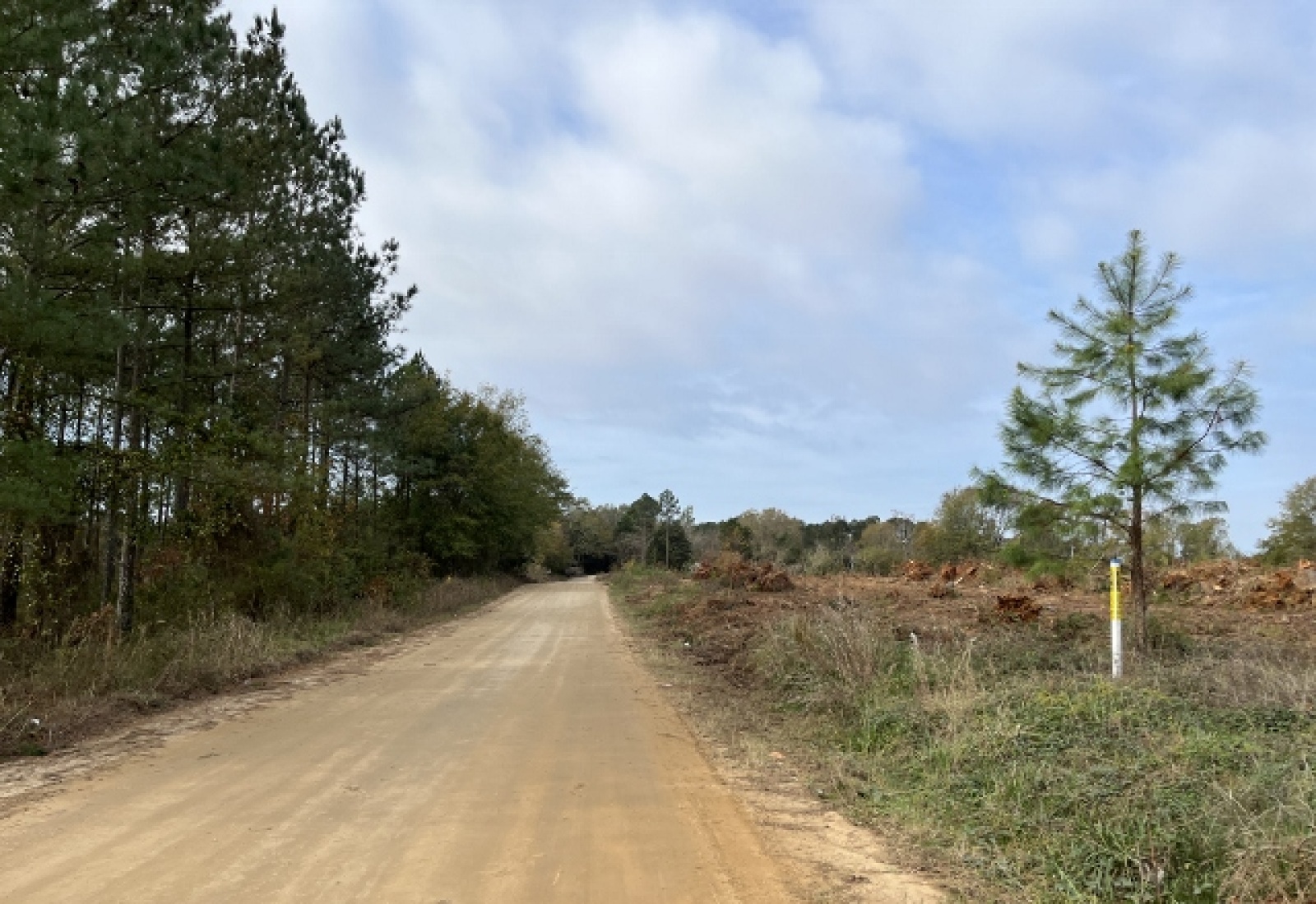 Saluda County, ,Land,Active,1184