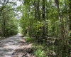 Abbeville County, ,Land,Active,1185