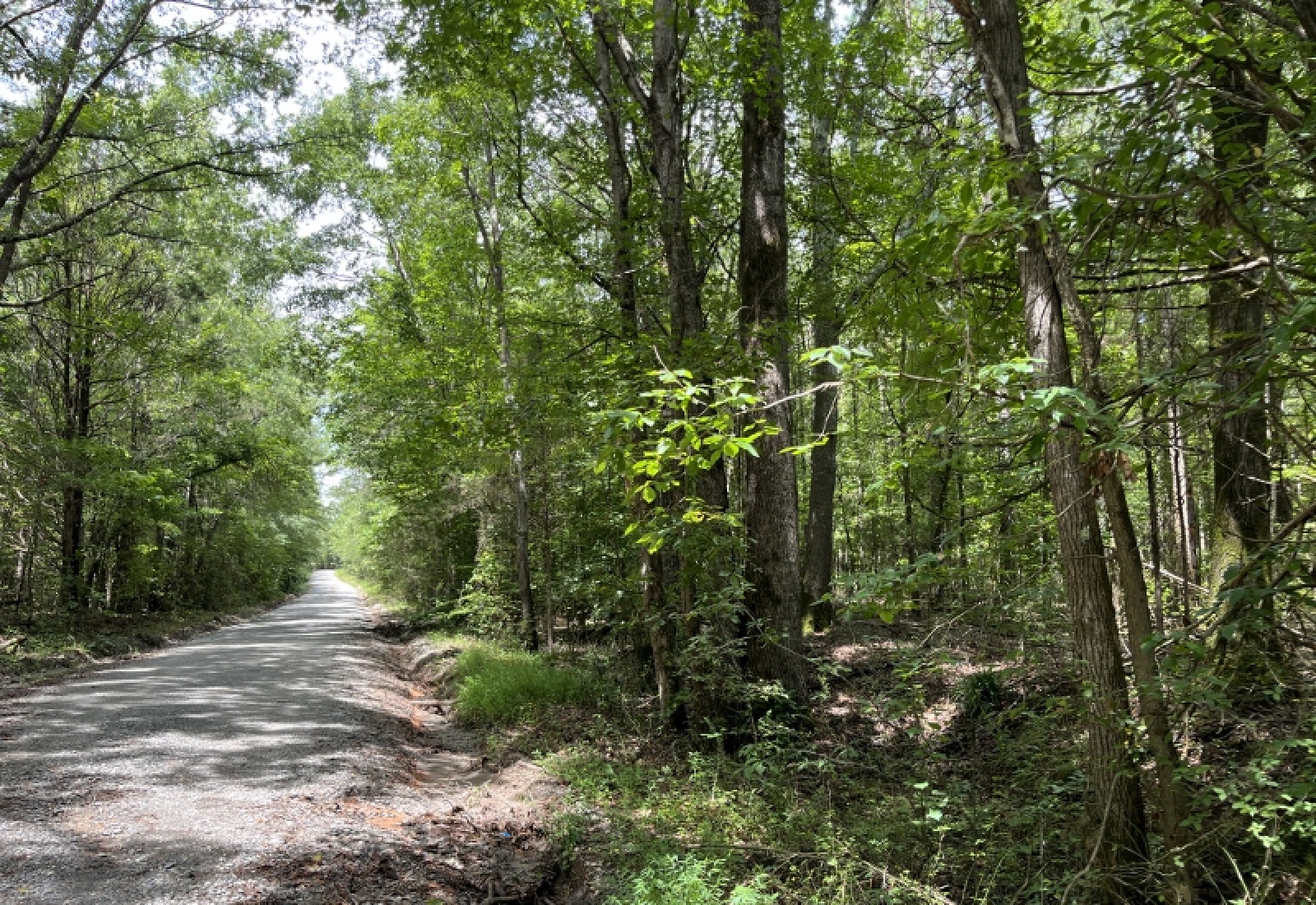 Abbeville County, ,Land,Active,1185